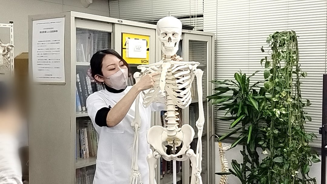 ■土台から整えるバストアップ&整顔メカニズム